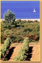 Photo Bauernhöfe Narbonne plage Chateau rouquette sur mer