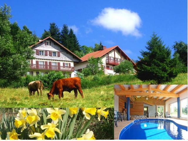 Photo Bauernhfe Grardmer Vacances chalet 5* + piscine grard... 