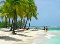 Photo Bauernhfe Sainte -anne Coconut's