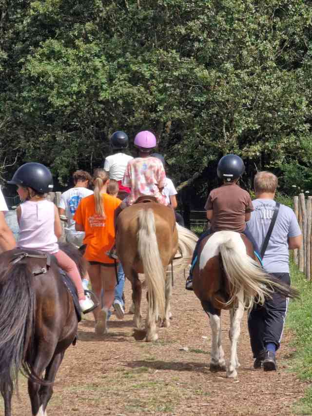 Balade  poney