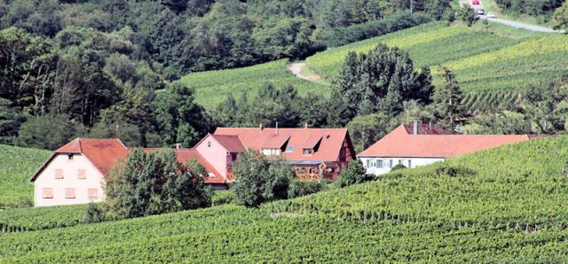 Photo Bauernhöfe Nothalten Au cep de vigne