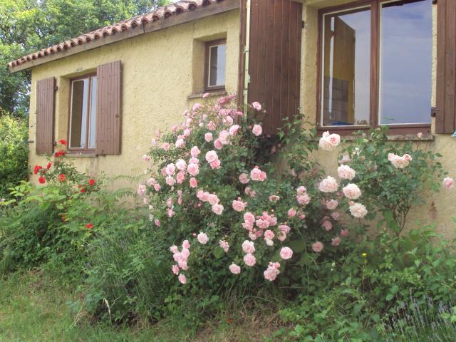 Photo Campingplatz Loupiac Chez francis