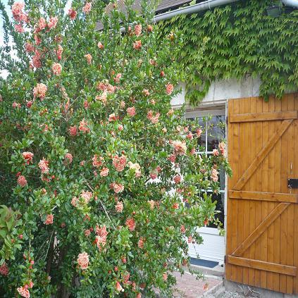 Photo Gästezimmer ChÂtillon sur indre Chambre d'hôtes et gîte anne-ma...