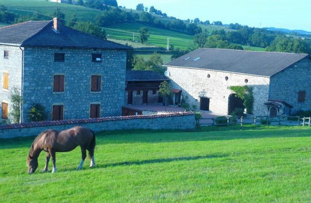 Photo Bauernhfe Saint victor sur rhins La prairie